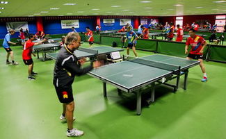 驻欧盟使团与欧盟机构举行第二届中欧乒乓球友谊赛 