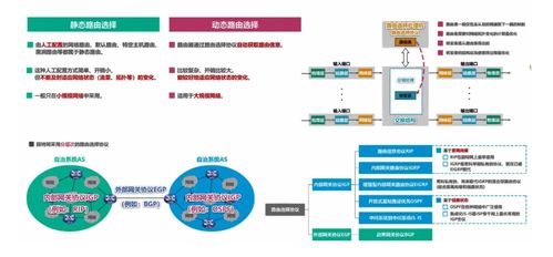 计算机网络基础知识