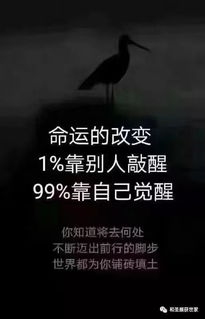 8.19 9.10医师的教师节 狮子 处女 致公党,庆祝建国70周年特刊