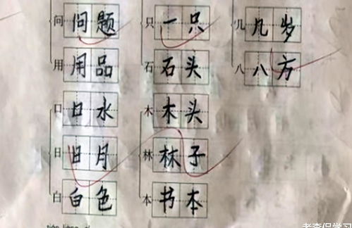 二年级学霸字体堪比 教科书 ,家长 求分享学习方法