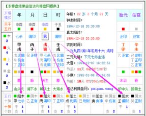 1994,农历11.16.日20 30 是属于阳年阳月阳日阳时吗 