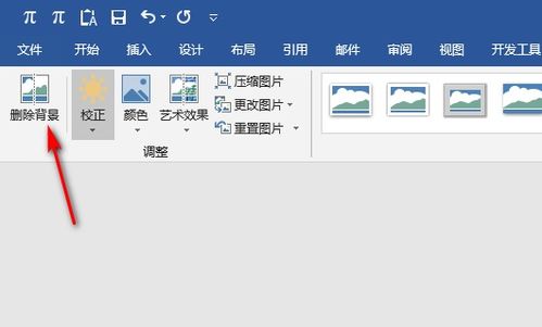 word2016为什么没有删除背景的选项 