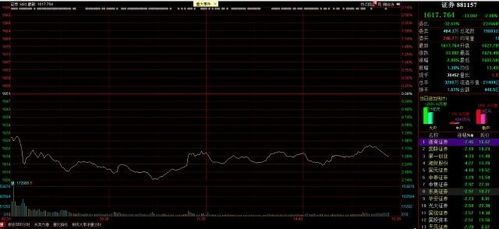 600870股票今天1.62跌停了,我如果1.62能卖出去吗? 为什么查询当日成交没有结果啊?