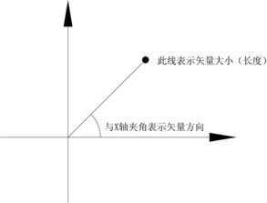 标量和矢量分别是什么意思?