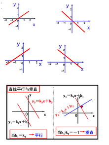 初一上册数学知识树