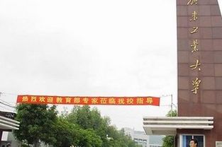 湛江大学是一本还是二本？湛江有什么大学