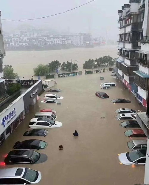 安徽歙县语文因暴雨延期，安徽歙县高考语文因暴雨延期是怎么回事