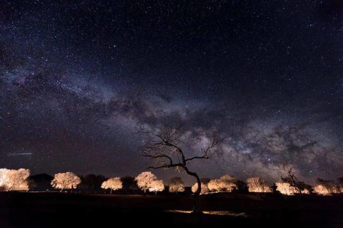 如梦似幻 比乌兰布统更美 更浪漫的是她夜晚的星空