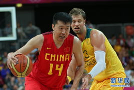 王治郅——中国篮球的顶点