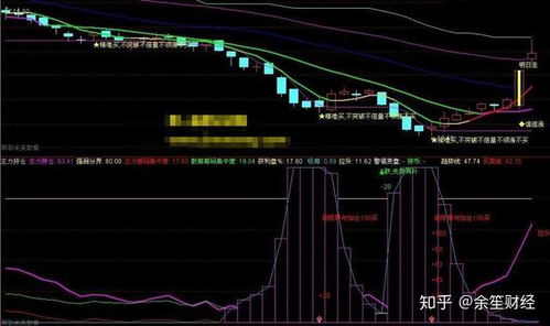 通达信主力专用指标