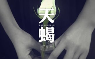 2019年12星座桃花运早知道,谁将成为被爱神照顾的幸运儿