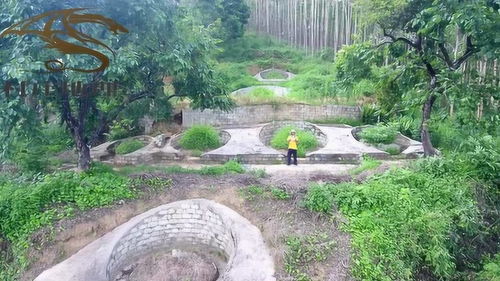 喝形龟蛇出洞旺财丁风水宝地 