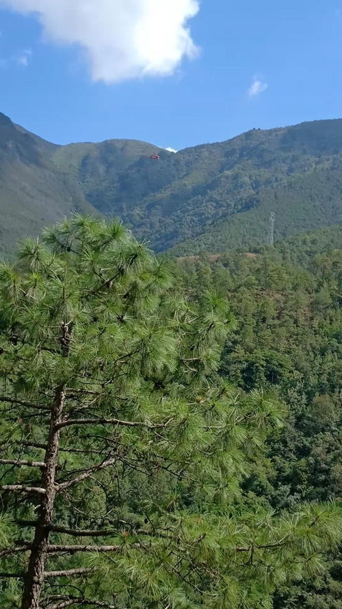 大山里 看风景 看飞机 