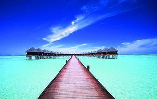 如何选择靠谱的马尔代夫七星岛导游费用海网问更好（马尔代夫七星岛屿排名）