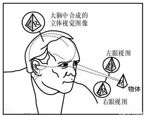 3D究竟意义何在;3d的好处有哪些