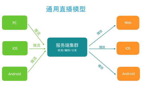 直播的流程包括哪几个步骤，直播的基本步骤包括哪些