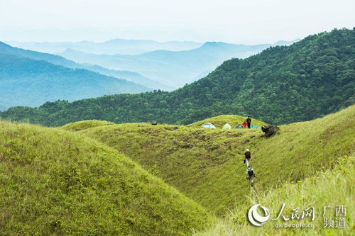 广西上思 十万大山里的 空中草原 