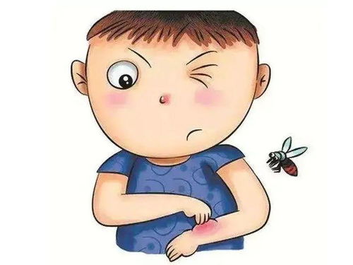 小满后虫害滋生 如何让孩子免受蚊虫叮咬 小妙招请收好
