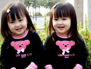 双胞胎洋气女孩小名字（双胞胎女孩起小名字大全2021）