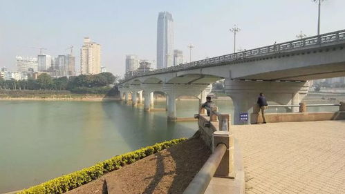 广西大桥最多的城市 南宁19座跨江大桥你走过几座