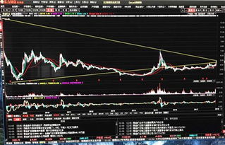 601899紫金矿业 咋样 是否可以介入 短线目标价多少？