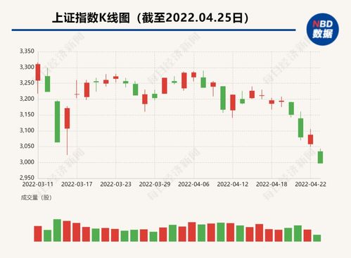 深市A股主力资金8月14日流向个股排名