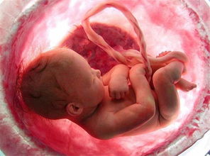 原创这3种能力，胎儿在妈妈的肚子里就已经形成了，你可能还不知道