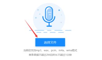 语音文件可以转成文字吗 怎么转换 