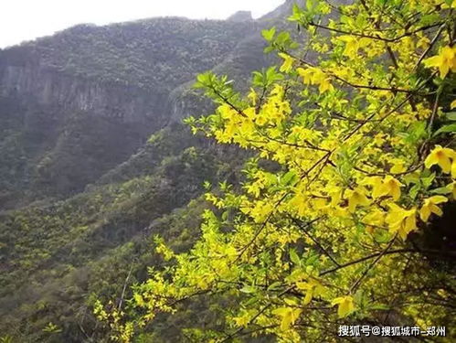 不会吧不会吧 不会真的有人没欣赏过这里的四季美景吧