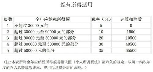 公司五月才成立，问个人所得税和印花税什么时间申报