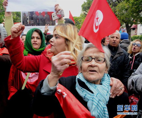 突尼斯民众游行抗议 恐怖分子 潜回国 