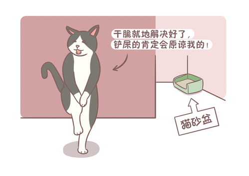 猫咪乱拉乱尿 可能不是心情不好,还有可能是生病了