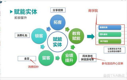 拥有美国实体公司会带来哪些好处？