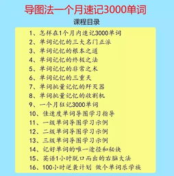 如何在100小时内记住3000常用单词 