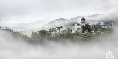 15个寺院的绝美春景,带您走进人间四月天 