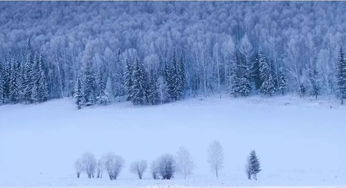 大半个中国都在下雪,可你家却在