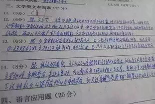 高考作文多少字