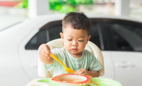 1 2岁孩子饮食变化大,家长牢记 四不三戒两坚持 ,养成好习惯