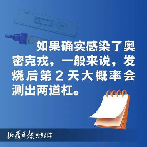 如何避免校内查重互检失误？提高检测准确性的实用技巧