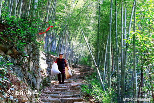 浙江这条古道名字奇特,为什么备受人青睐 原来不仅是风景宜人