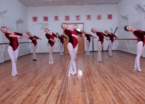 艺考拉丁舞可以报考的学校