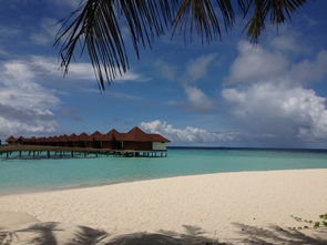 马尔代夫罗宾逊岛旅游浪漫的梦幻之旅