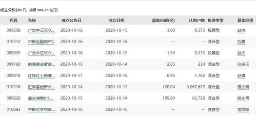 213003基金净值查询20号多少