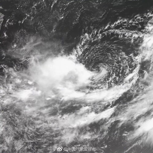 14号台风 形成 连续橙色高温预警后 泉州下周有救了