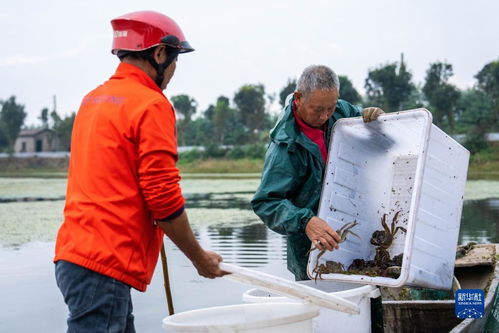 湖南益阳益阳市大通湖管理区河坝镇天气预报