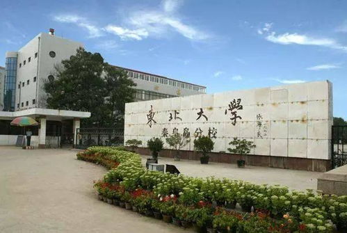 东北大学三个校区的区别，东北大学秦皇岛分校和主校之间有什么区别是一个学校的吗