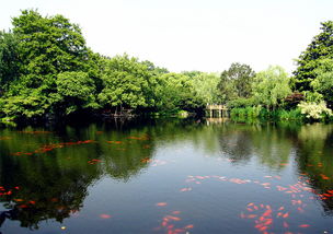 想问下花港观鱼和虎跑的停车场在哪里 (太子湾公园旁边免费停车场)