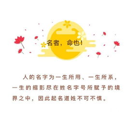 金秀老师 取名字能改变运势吗