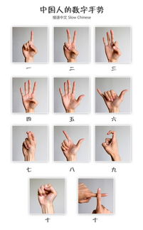 在大陆 阿拉伯数字手势 怎么表示 