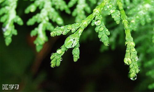 冬天雨天的文案短句干净